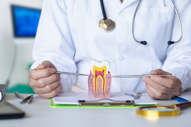 Best Urgent Dental Care for Toothaches in East Village, CT